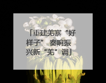 重建羌寨“好样子” 奏响振兴新“羌”调